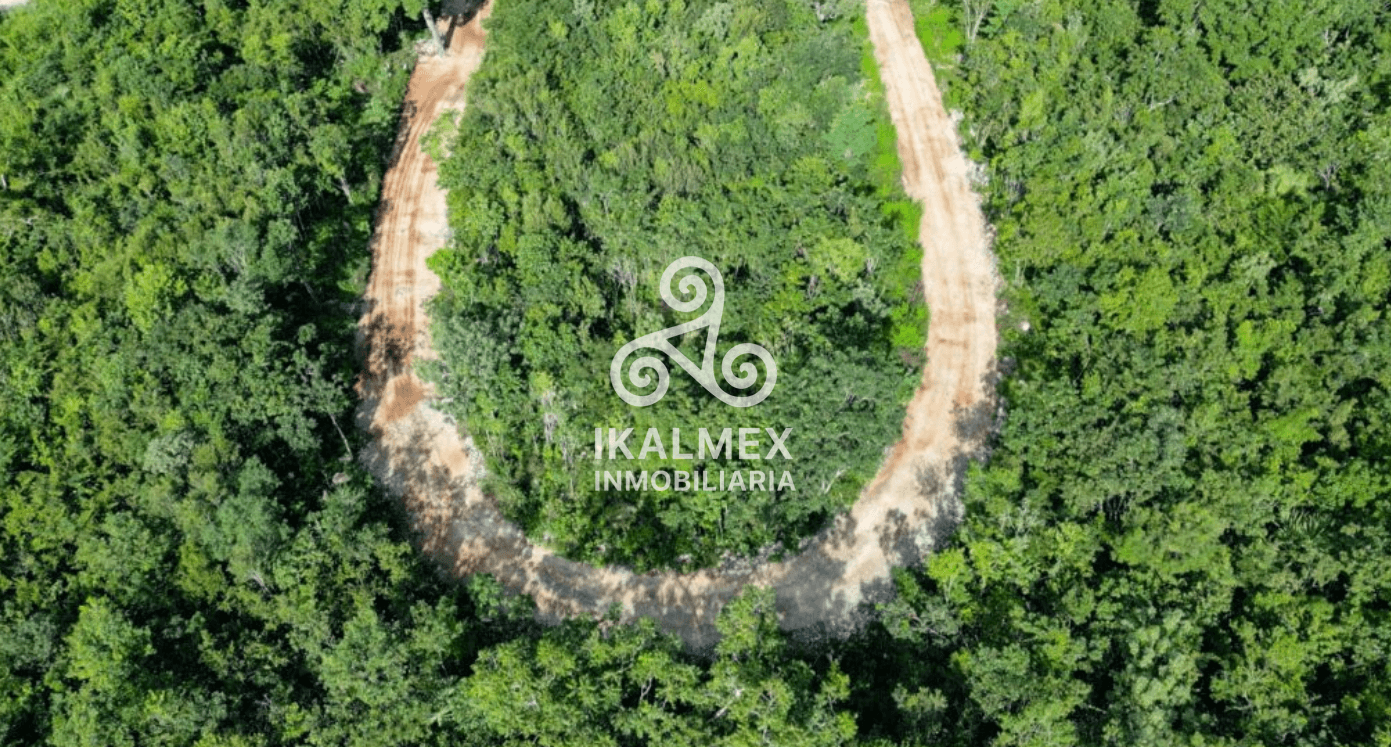 Lotes XACAN - Tulum — photo 3