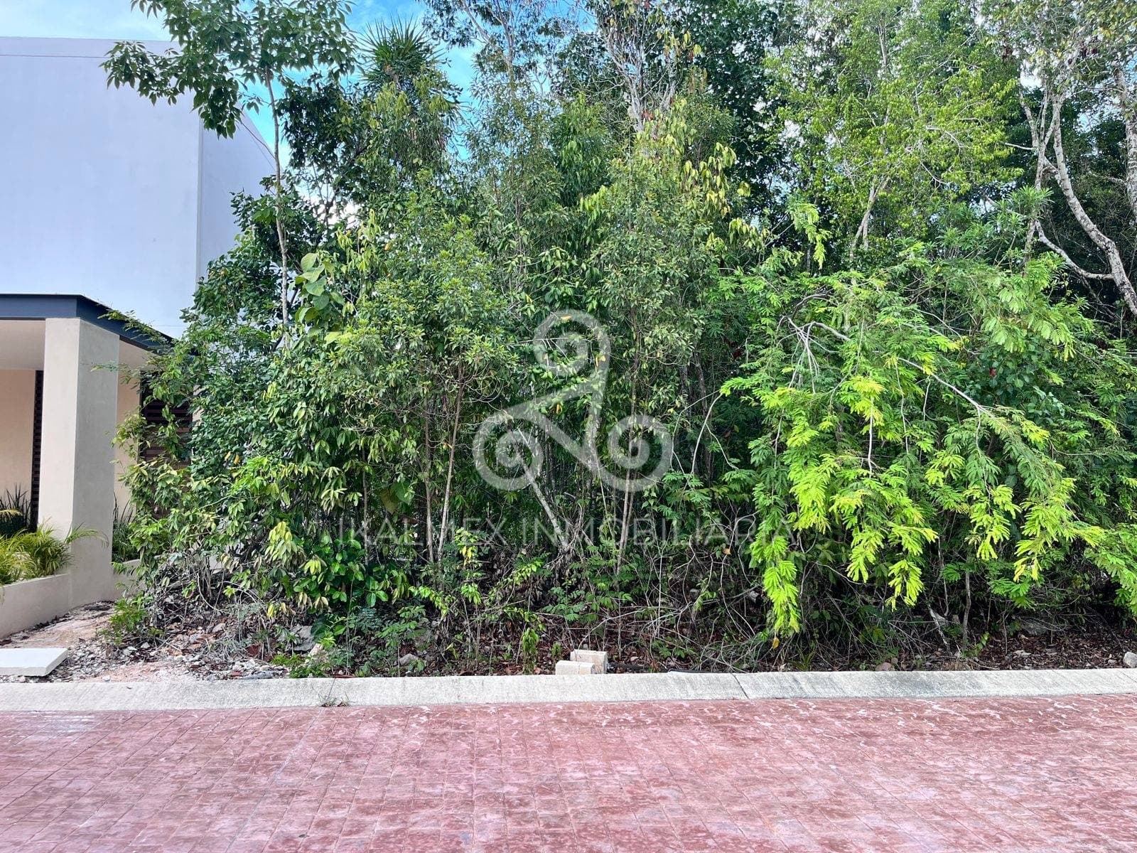 Terreno VIA CUMBRES - Cancun — photo 4